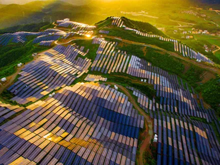 多母线和多切割晶圆 多母线和多切割晶圆