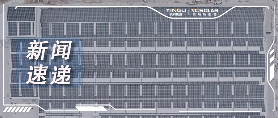 英辰品质档案 | 面对行业内卷，专业团队在全国展开行动！