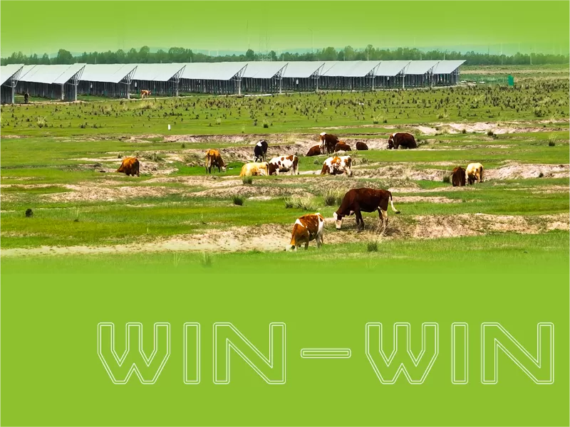 Together with YC Solar, harvest the infinite possibilities of Sunshine